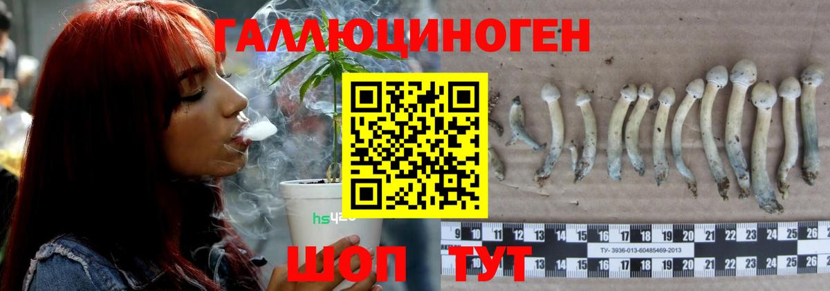 Сланцы  Галлюциногенные грибы MAGIC MUSHROOMS  Вход с VPN  Галлюциногенные грибы прущие грибы 